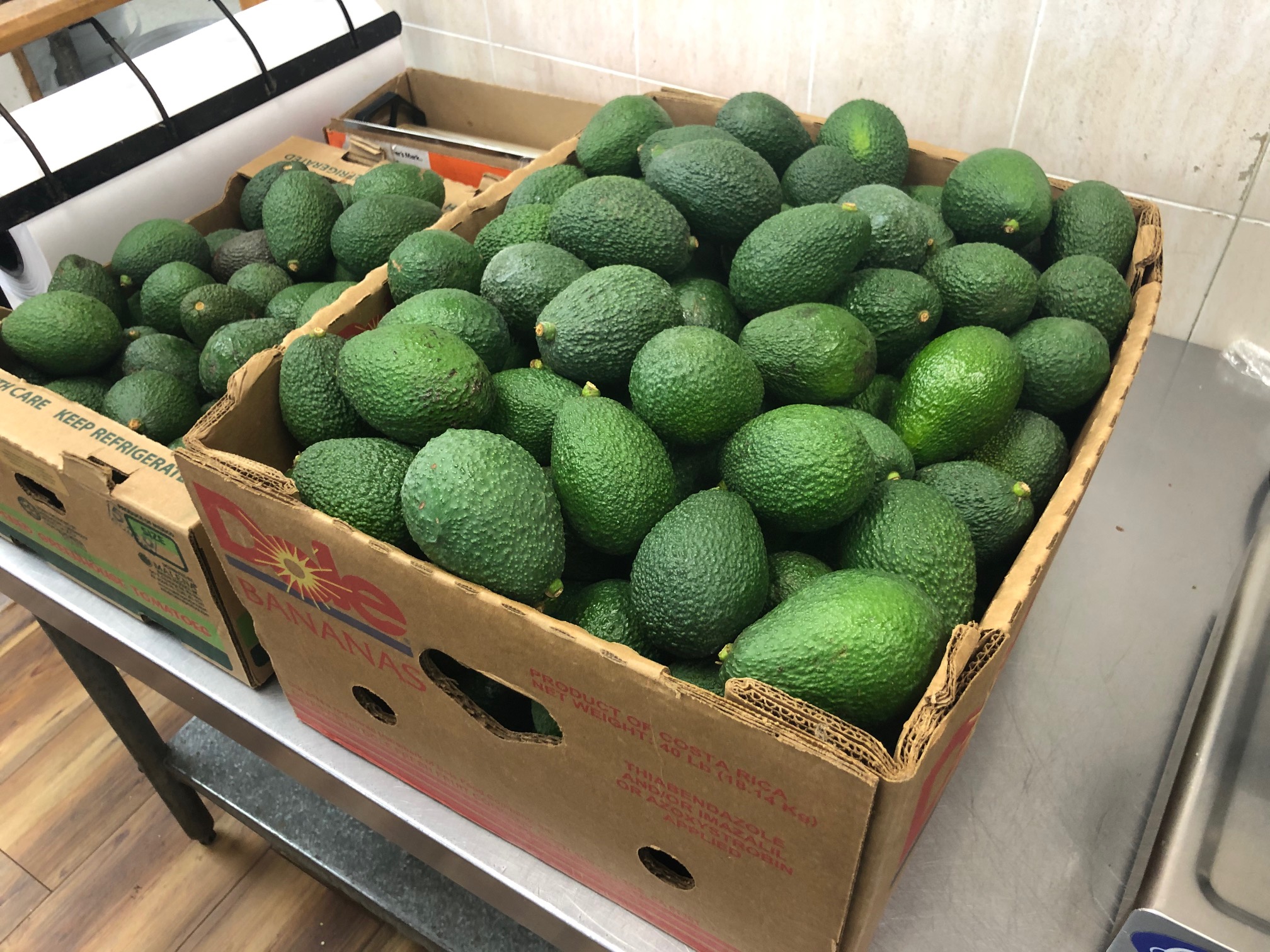 Organic Avocados
